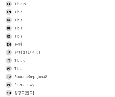 翻译