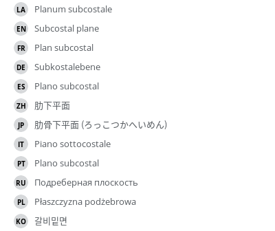 翻译