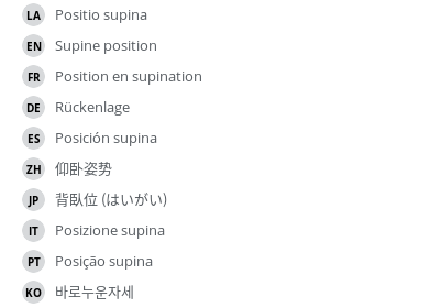 翻译