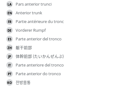 翻译