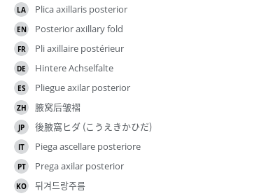 翻译