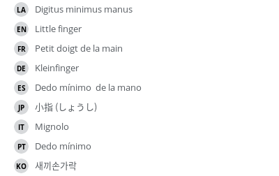 翻译