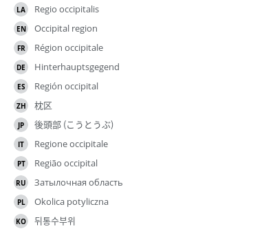 翻译