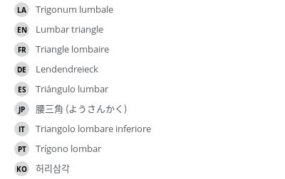 翻译