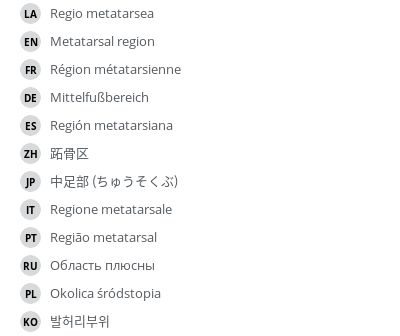 翻译