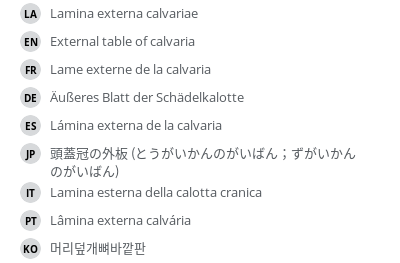 翻译