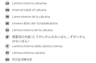 翻译