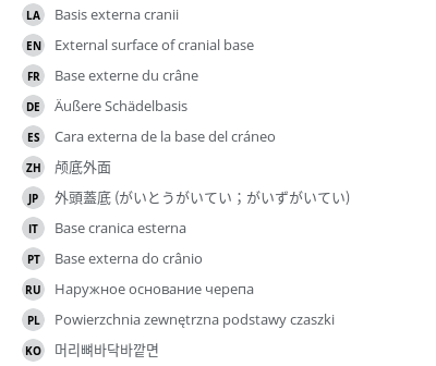 翻译