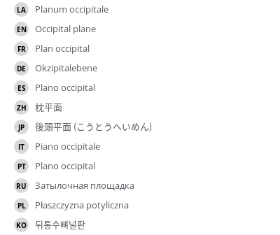 翻译