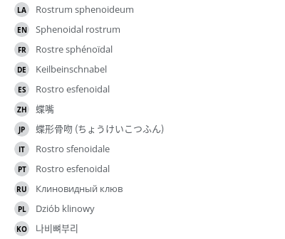 翻译