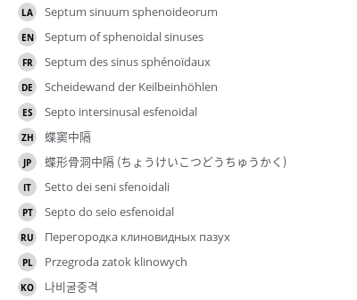 翻译
