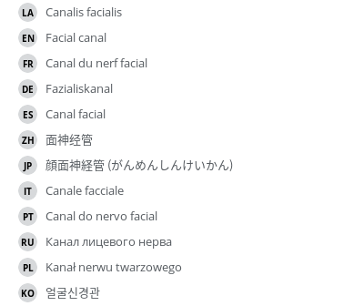 翻译
