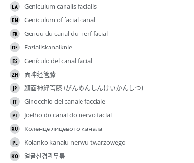 翻译