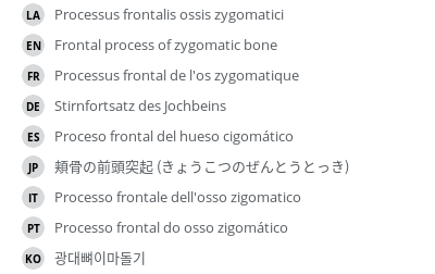 翻译