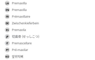 翻译