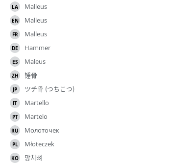 翻译