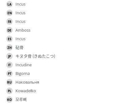 翻译