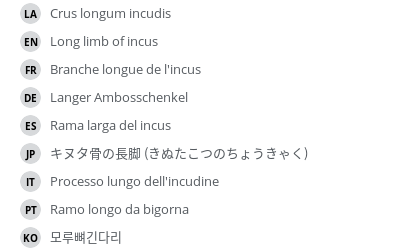 翻译