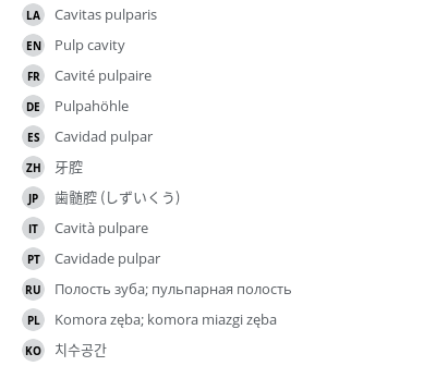 翻译