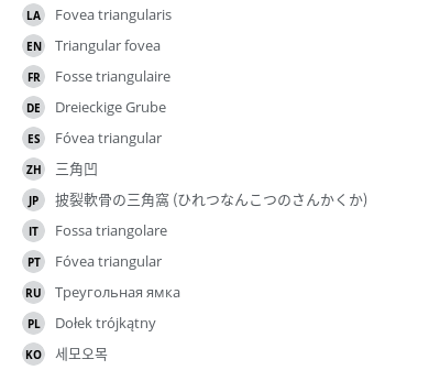 翻译