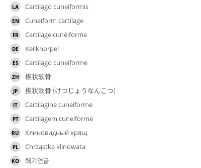 翻译
