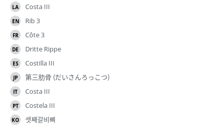 翻译