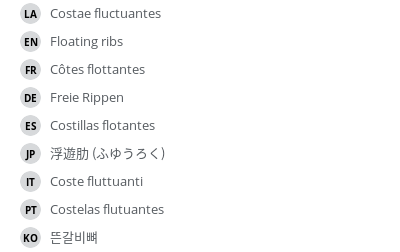 翻译
