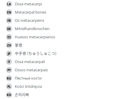 翻译