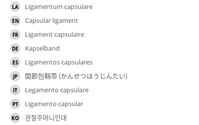 翻译