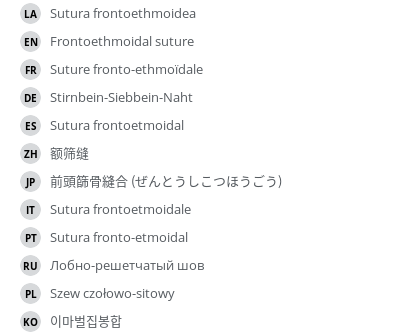 翻译