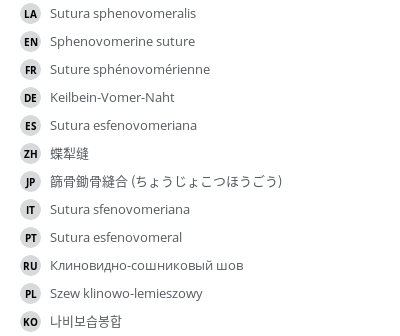 翻译