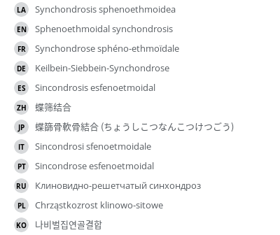 翻译