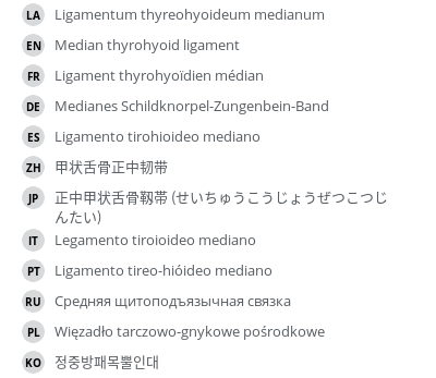 翻译