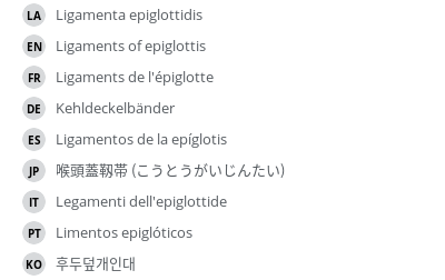 翻译
