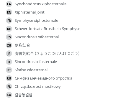 翻译