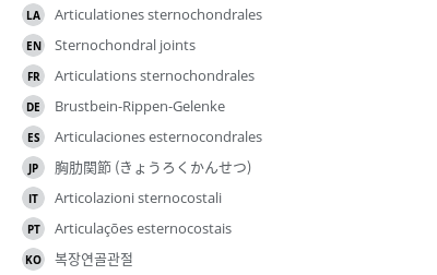 翻译