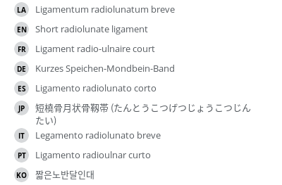 翻译