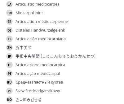 翻译