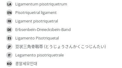 翻译
