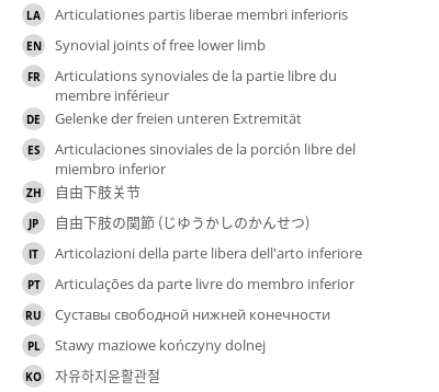 翻译