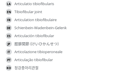 翻译