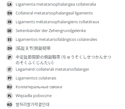 翻译