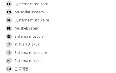 翻译