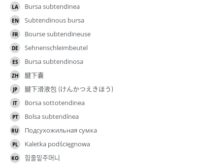 翻译