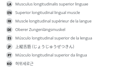 翻译