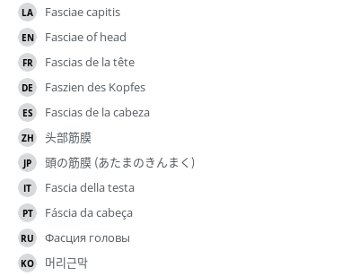 翻译