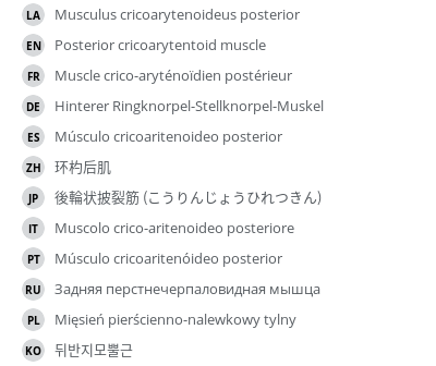 翻译