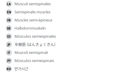 翻译