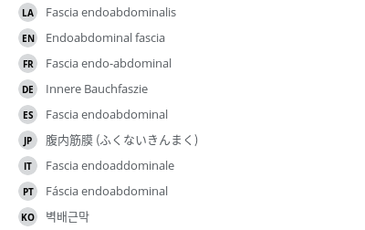 翻译
