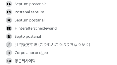 翻译